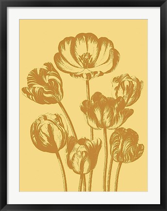 Framed Tulip 19 Print