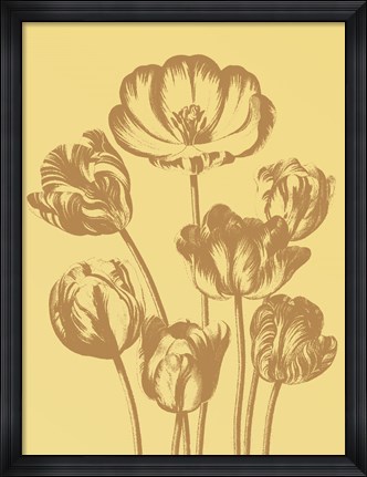 Framed Tulip 19 Print