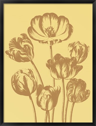 Framed Tulip 19 Print