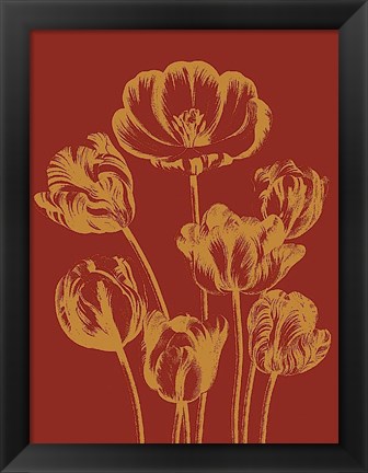 Framed Tulip 16 Print