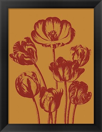 Framed Tulip 15 Print