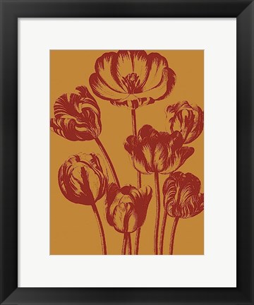 Framed Tulip 15 Print