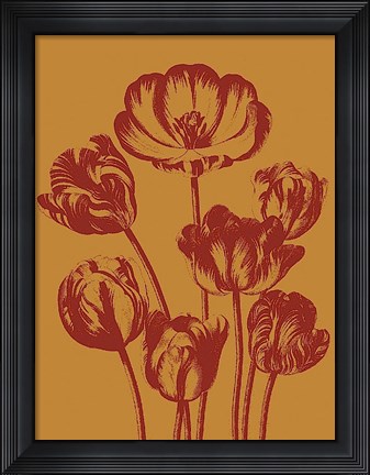 Framed Tulip 15 Print