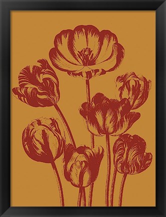 Framed Tulip 15 Print