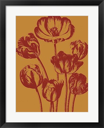 Framed Tulip 15 Print