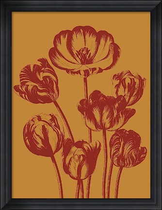 Framed Tulip 15 Print