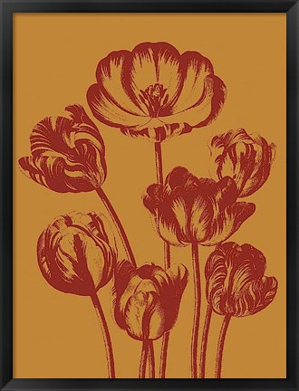 Framed Tulip 15 Print