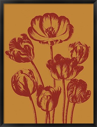 Framed Tulip 15 Print