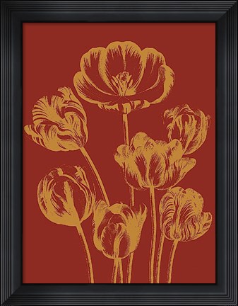 Framed Tulip 16 Print
