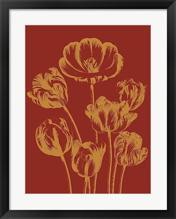 Framed Tulip 16 Print