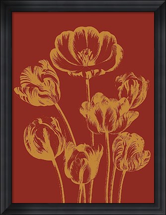 Framed Tulip 16 Print