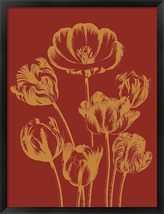 Framed Tulip 16 Print