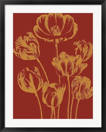 Framed Tulip 16 Print
