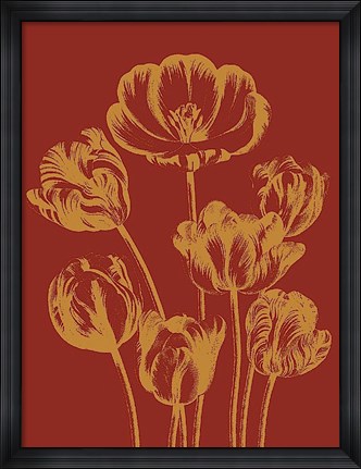 Framed Tulip 16 Print