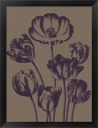 Framed Tulip 14 Print