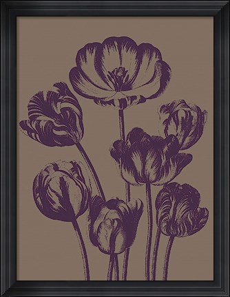 Framed Tulip 14 Print