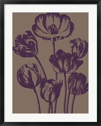 Framed Tulip 14 Print