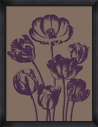 Framed Tulip 14 Print