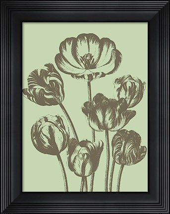 Framed Tulip 11 Print