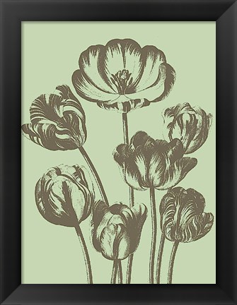 Framed Tulip 11 Print