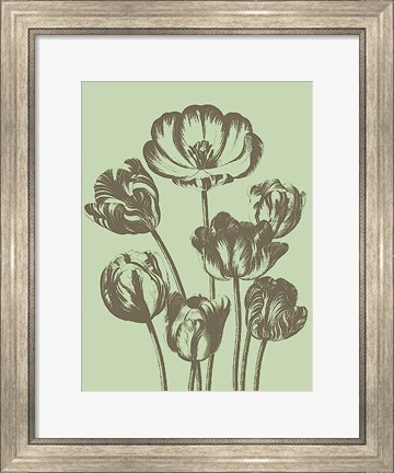 Framed Tulip 11 Print