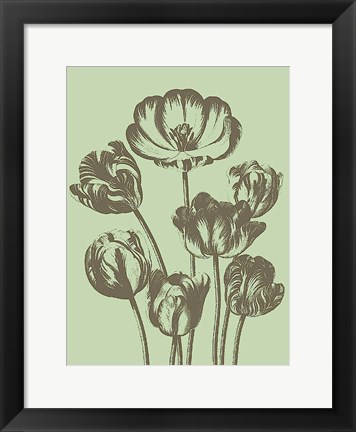 Framed Tulip 11 Print