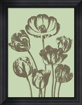 Framed Tulip 11 Print