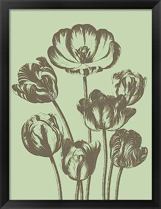 Framed Tulip 11 Print