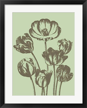 Framed Tulip 11 Print