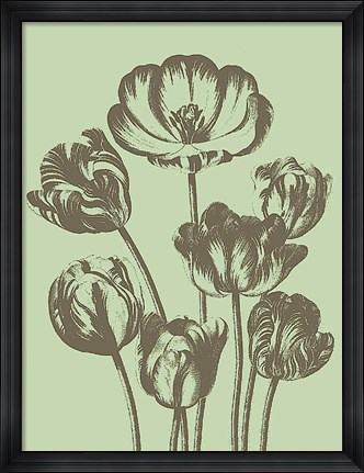 Framed Tulip 11 Print