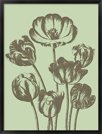 Framed Tulip 11 Print