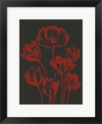 Framed Tulip 10 Print