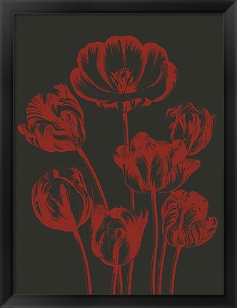 Framed Tulip 10 Print