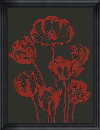 Framed Tulip 10 Print