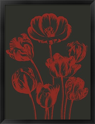 Framed Tulip 10 Print