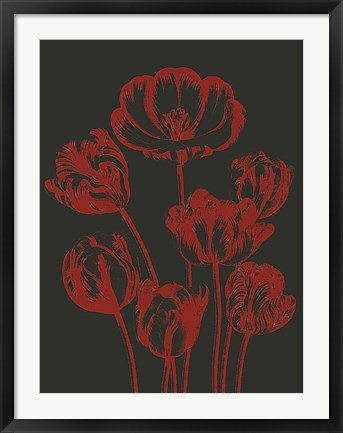 Framed Tulip 10 Print