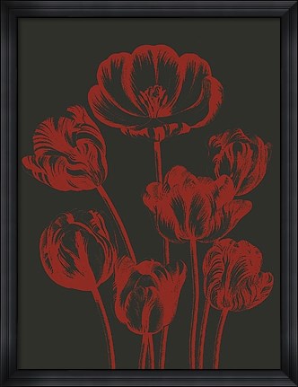 Framed Tulip 10 Print