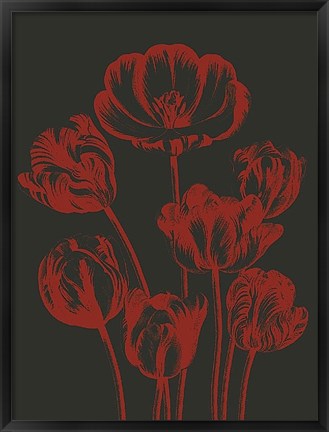 Framed Tulip 10 Print