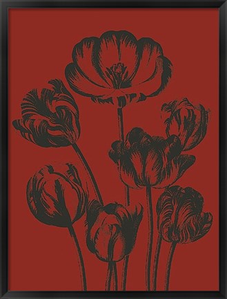 Framed Tulip 9 Print