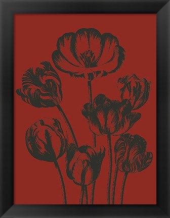 Framed Tulip 9 Print