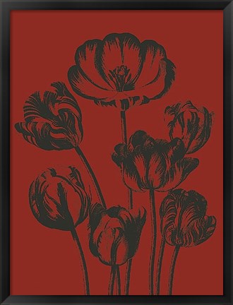 Framed Tulip 9 Print