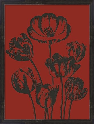 Framed Tulip 9 Print