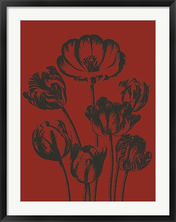 Framed Tulip 9 Print