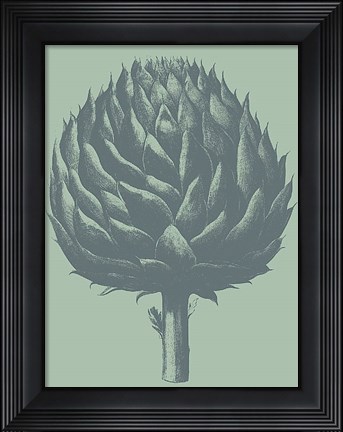 Framed Artichoke 8 Print
