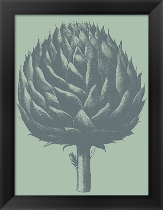 Framed Artichoke 8 Print