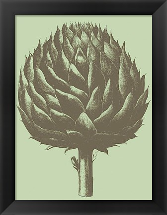 Framed Artichoke 11 Print