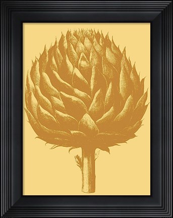 Framed Artichoke 19 Print