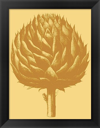 Framed Artichoke 19 Print