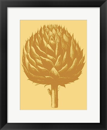 Framed Artichoke 19 Print