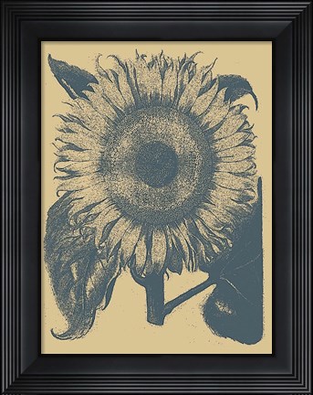 Framed Sunflower 1 Print